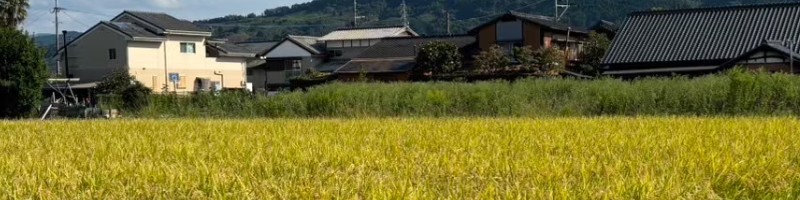 �ۑ����s�g�p�̔��~�H�y�V�g�̂����сz���T�C�g